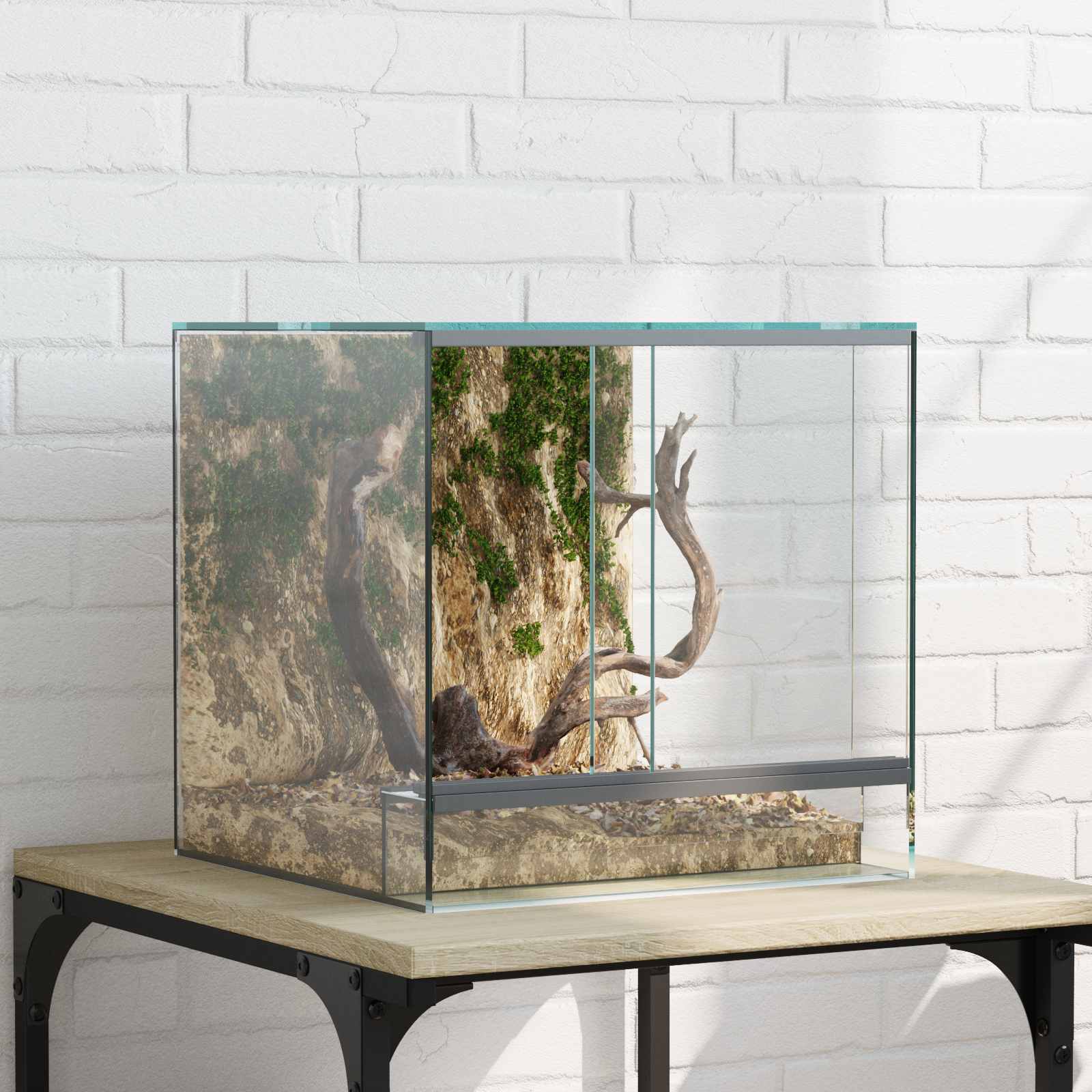 Terrarium με αποθήκευση Διαφανές 30 x 30 x 30 cm Γυαλί