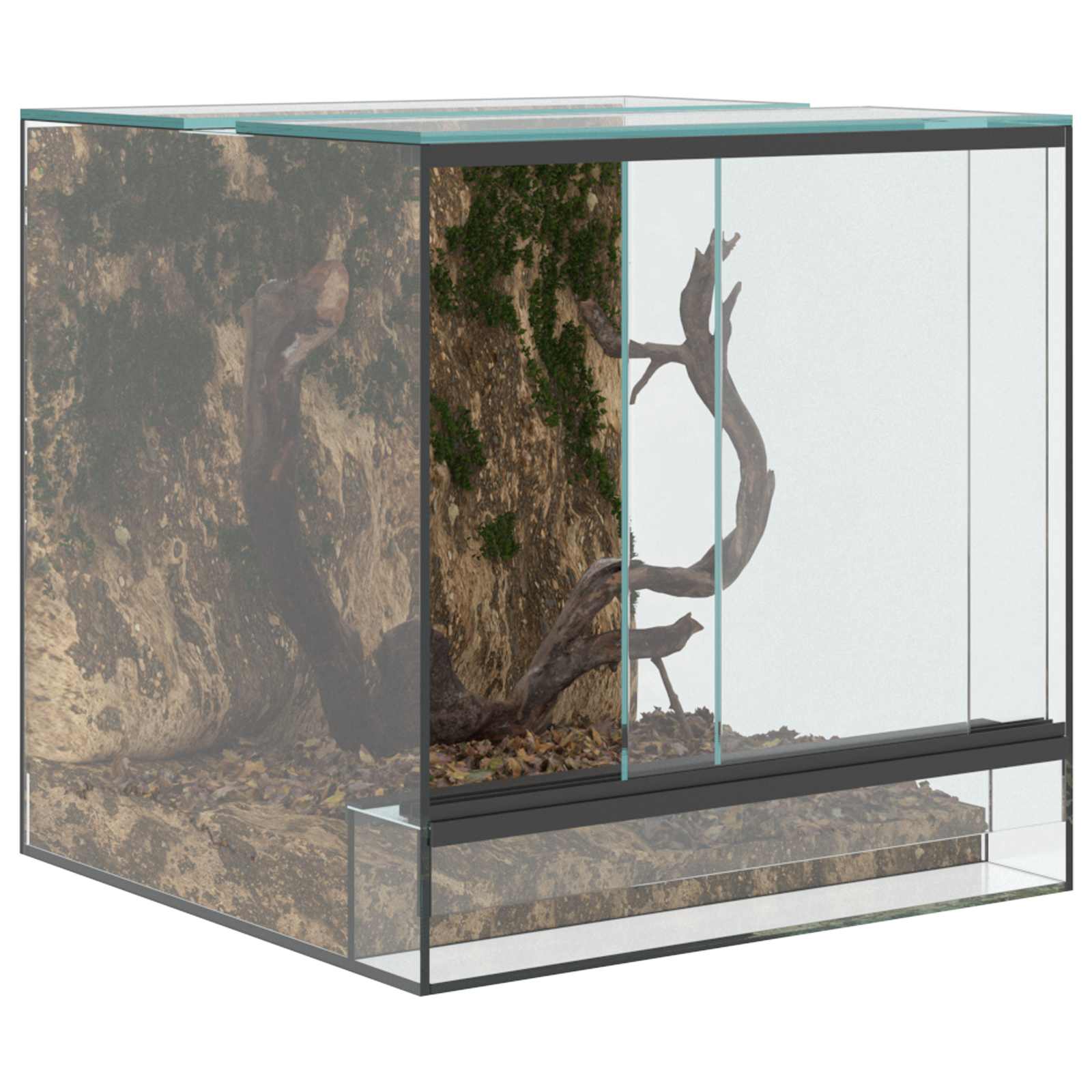 Terrarium με αποθήκευση Διαφανές 30 x 30 x 30 cm Γυαλί