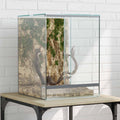 Terrarium με αποθήκευση Διαφανές 30 x 30 x 40 cm Γυαλί