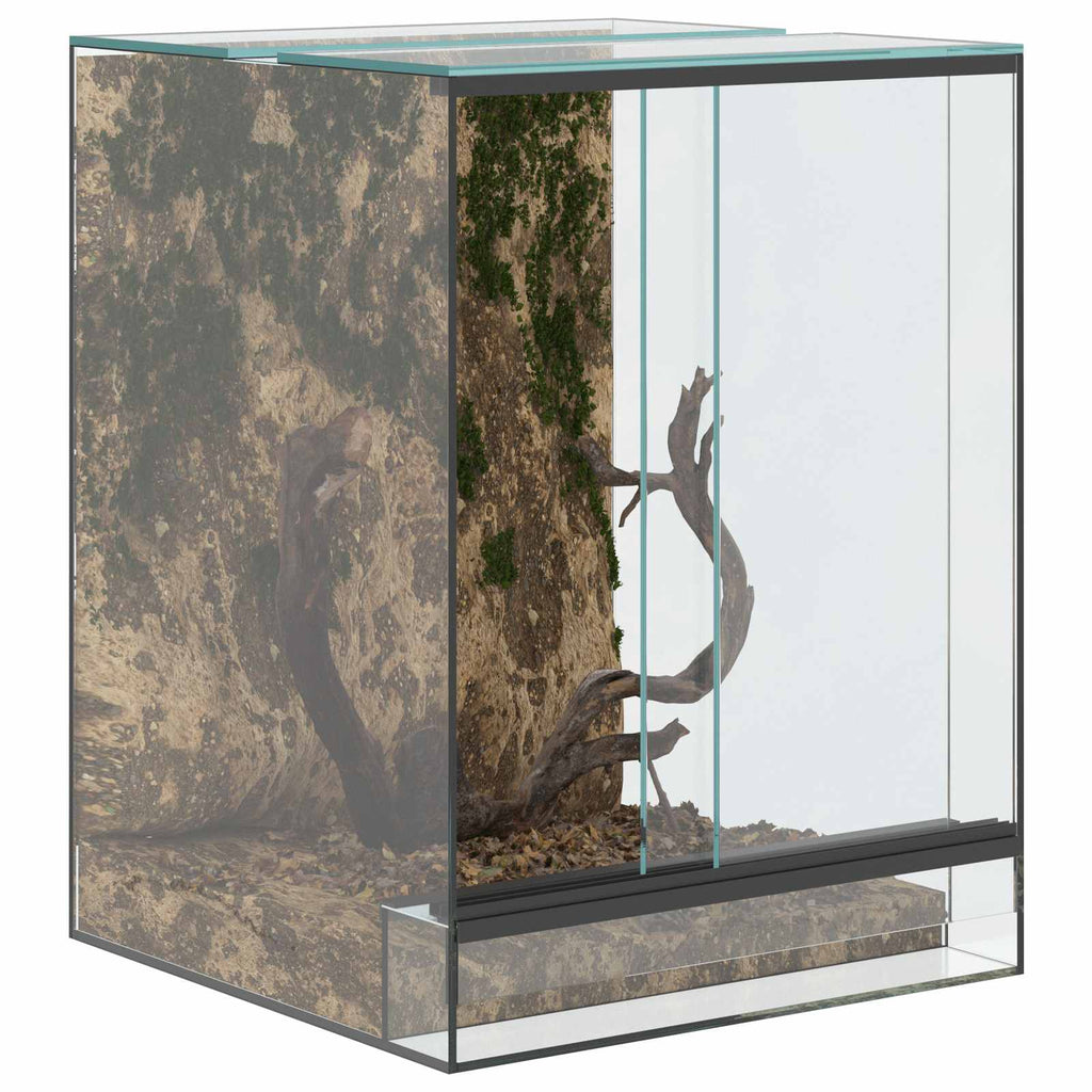Terrarium με αποθήκευση Διαφανές 30 x 30 x 40 cm Γυαλί