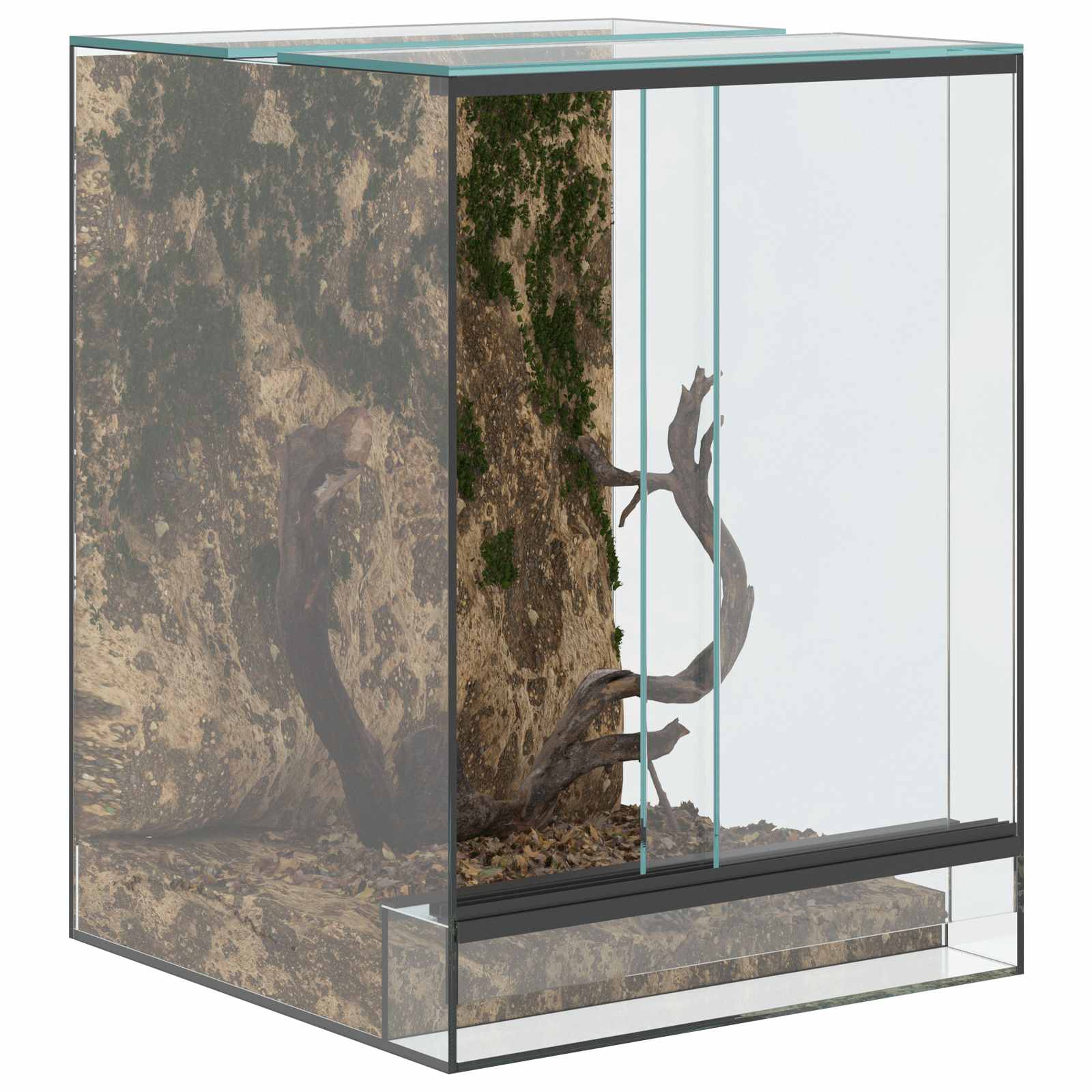 Terrarium με αποθήκευση Διαφανές 30 x 30 x 40 cm Γυαλί