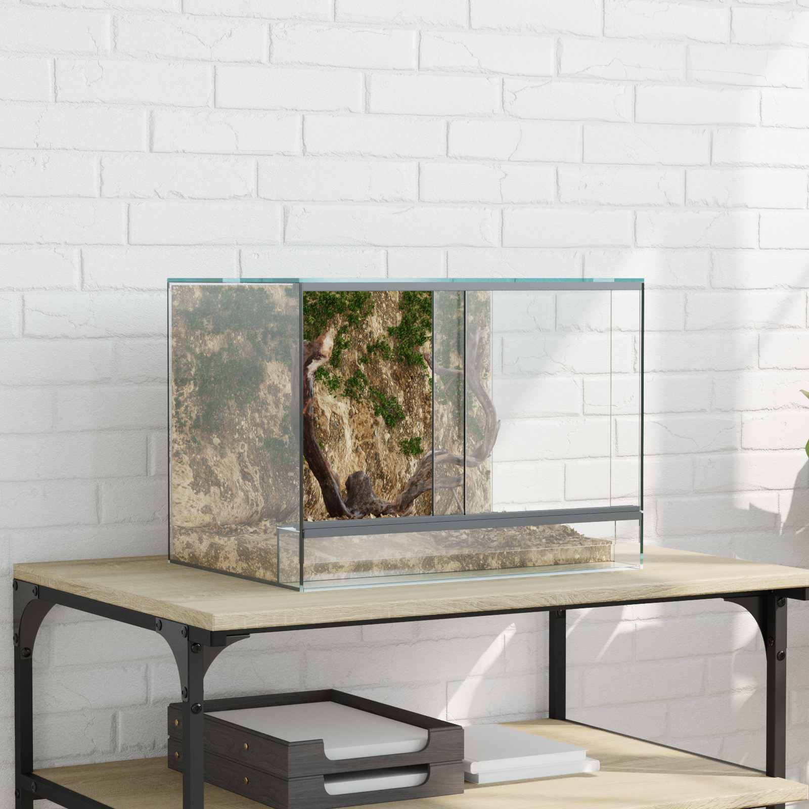 Terrarium με αποθήκευση Διαφανές 40 x 30 x 30 εκ Γυαλί
