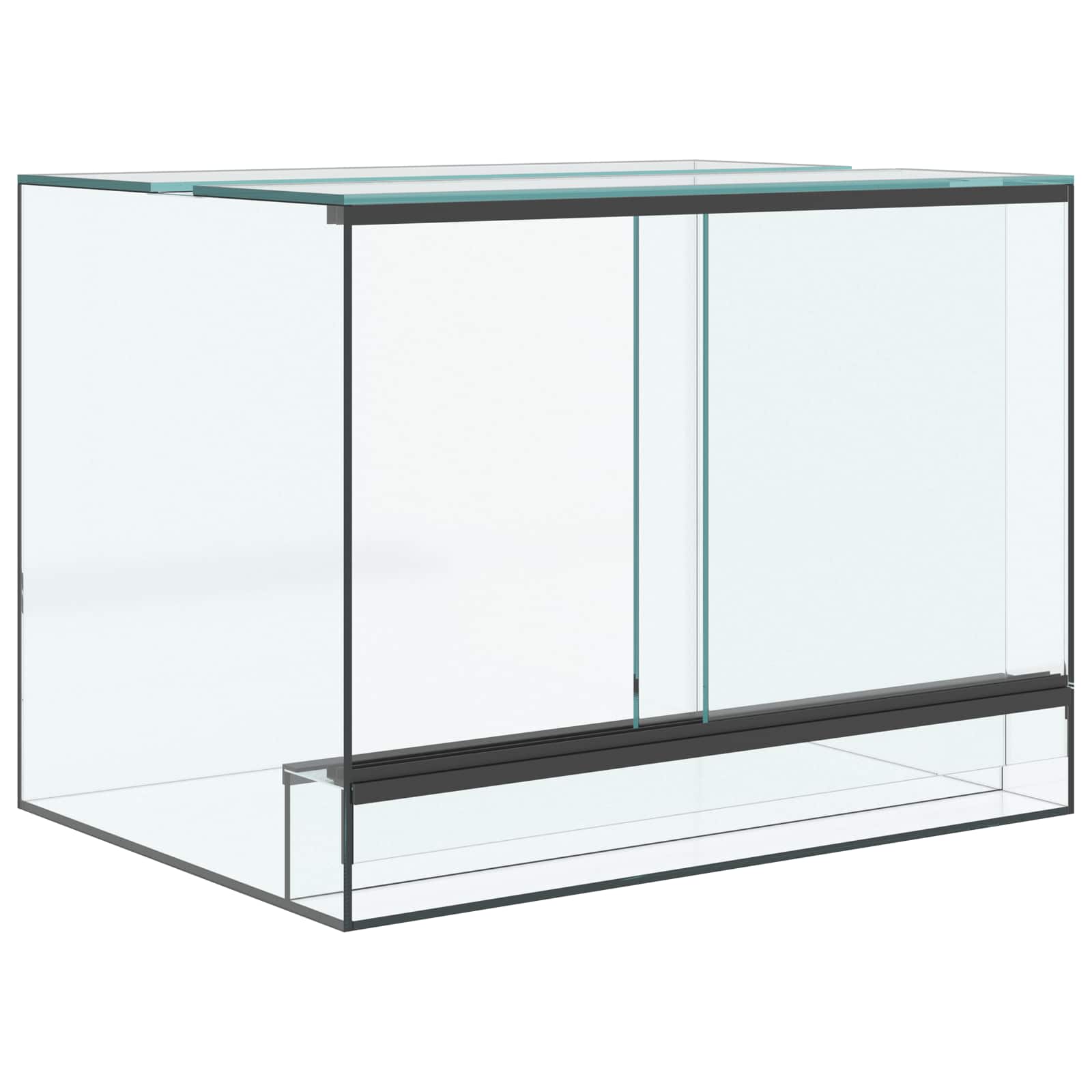 Terrarium με αποθήκευση Διαφανές 40 x 30 x 30 εκ Γυαλί