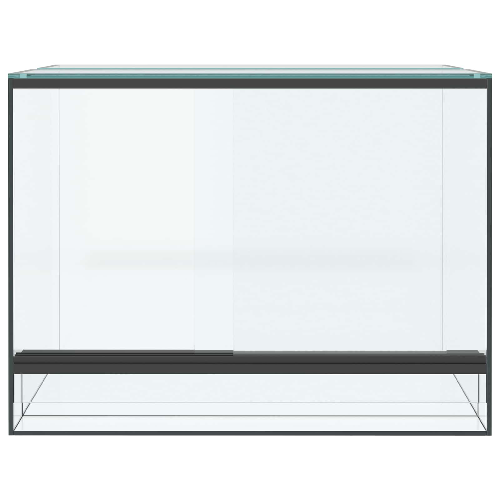 Terrarium με αποθήκευση Διαφανές 40 x 30 x 30 εκ Γυαλί
