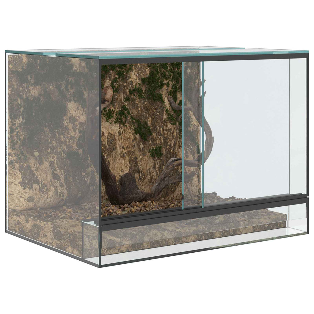 Terrarium με αποθήκευση Διαφανές 40 x 30 x 30 εκ Γυαλί