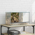 Terrarium με αποθήκευση Διαφανές 50 x 30 x 30 εκ. Γυαλί