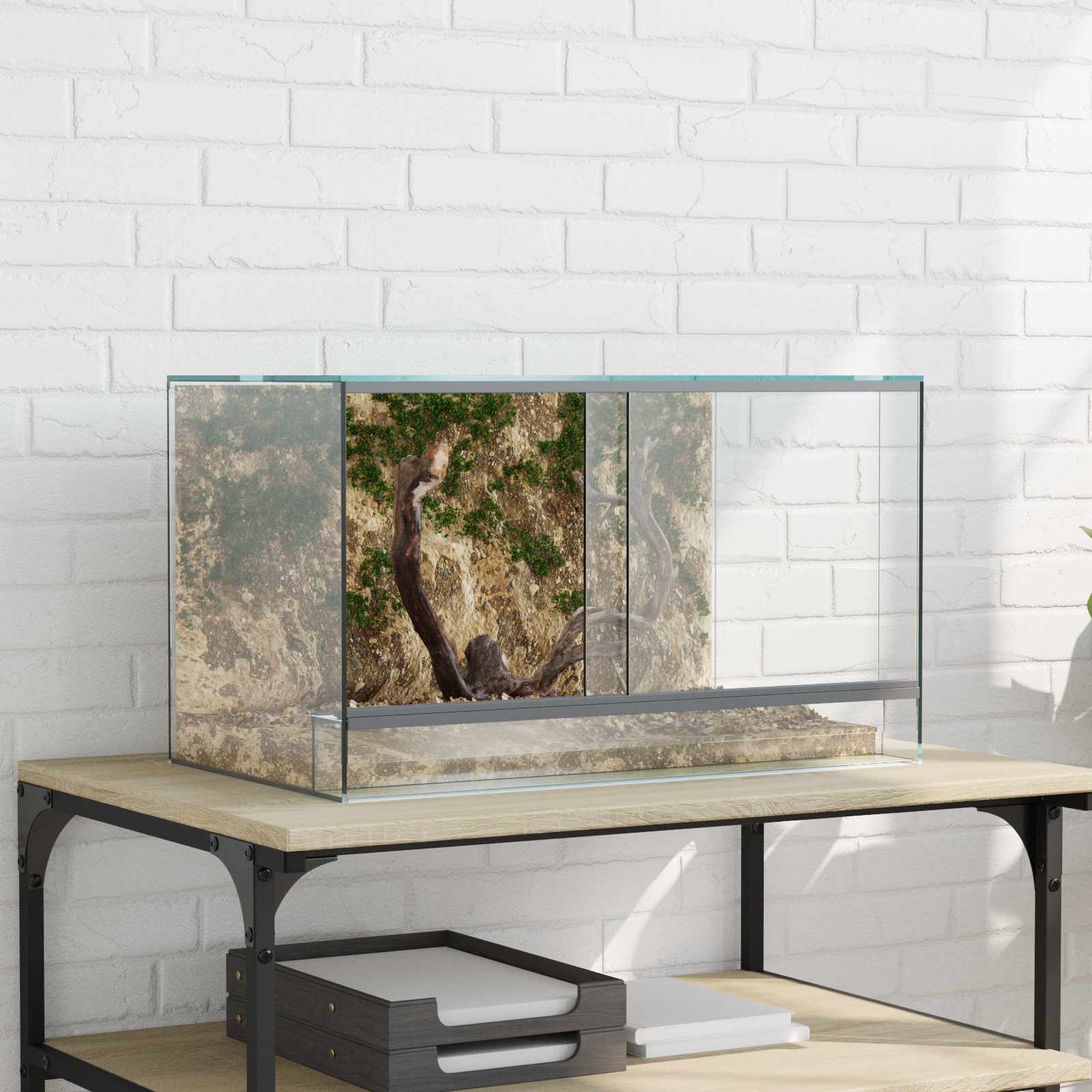 Terrarium με αποθήκευση Διαφανές 50 x 30 x 30 εκ. Γυαλί