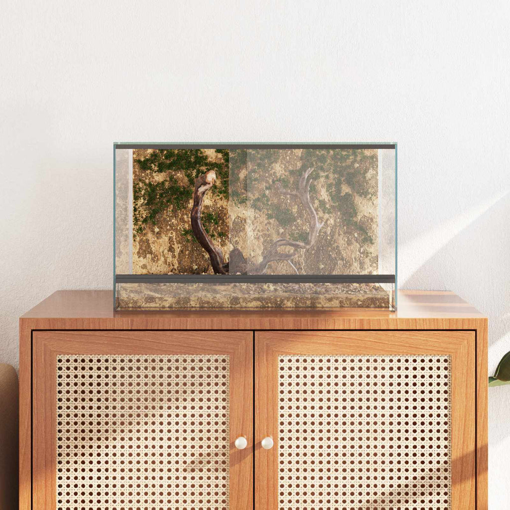 Terrarium με αποθήκευση Διαφανές 50 x 30 x 30 εκ. Γυαλί