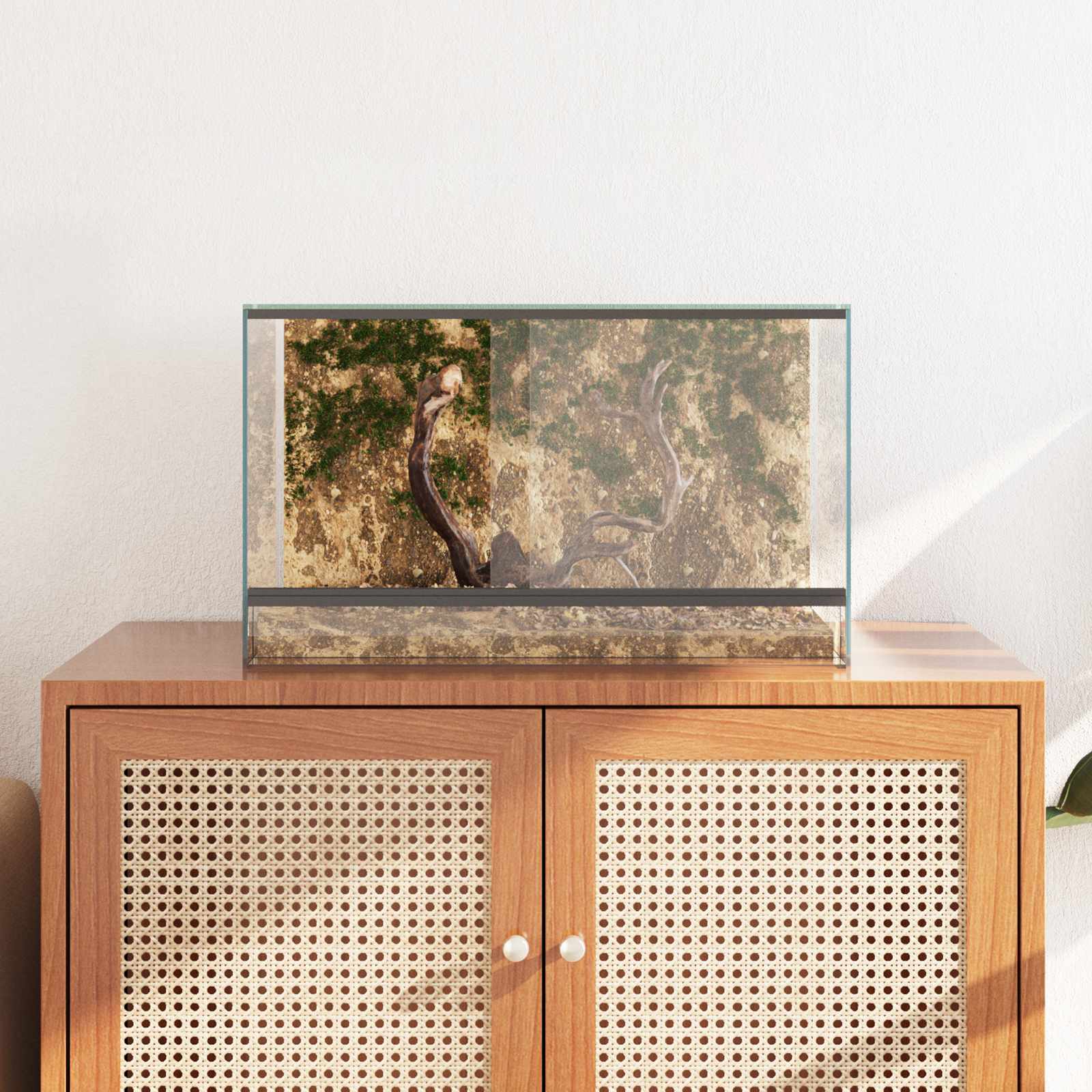Terrarium με αποθήκευση Διαφανές 50 x 30 x 30 εκ. Γυαλί