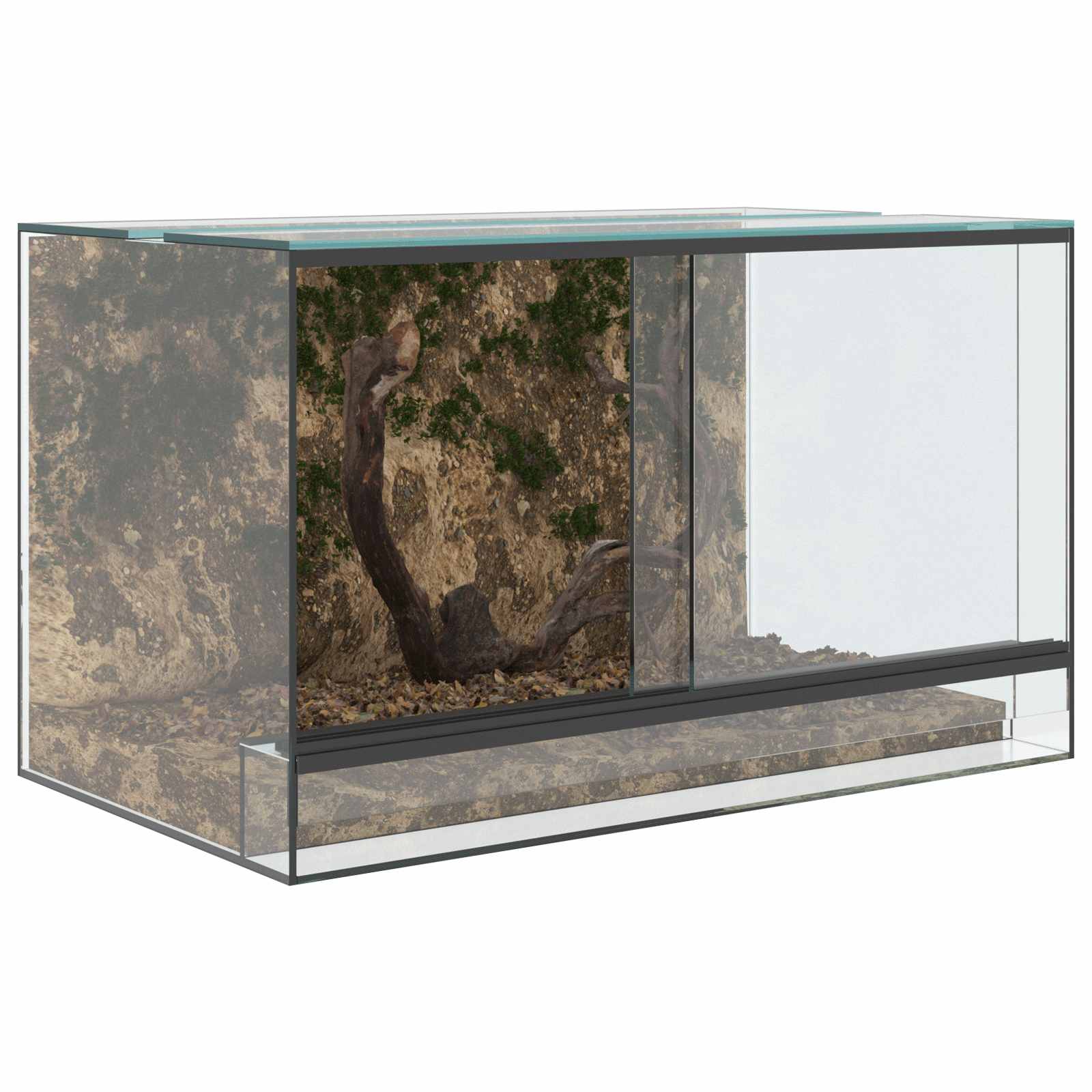 Terrarium με αποθήκευση Διαφανές 50 x 30 x 30 εκ. Γυαλί