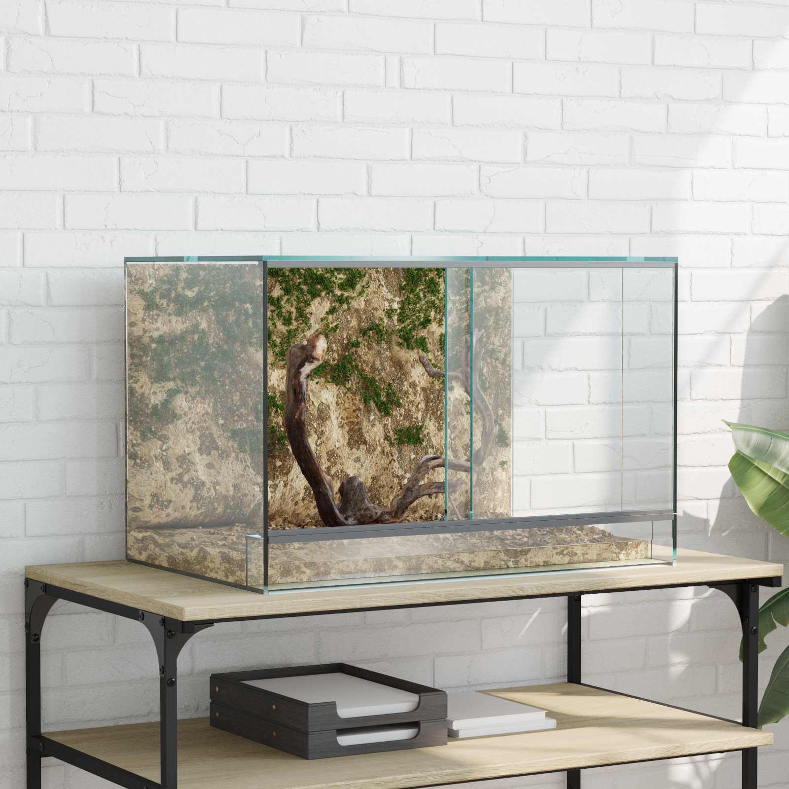 Terrarium με αποθήκευση Διαφανές 60 x 40 x 40 εκ. Γυαλί