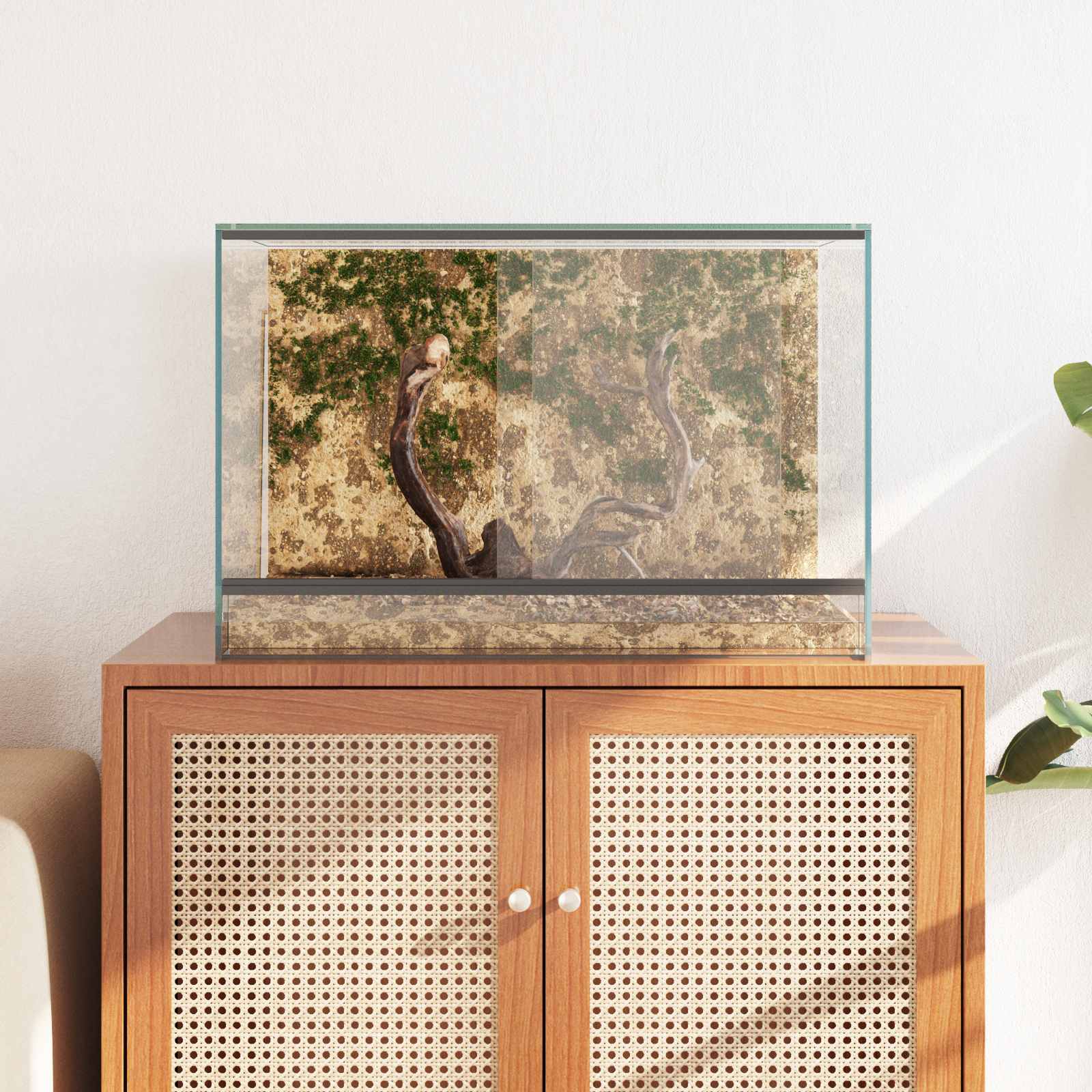 Terrarium με αποθήκευση Διαφανές 60 x 40 x 40 εκ. Γυαλί