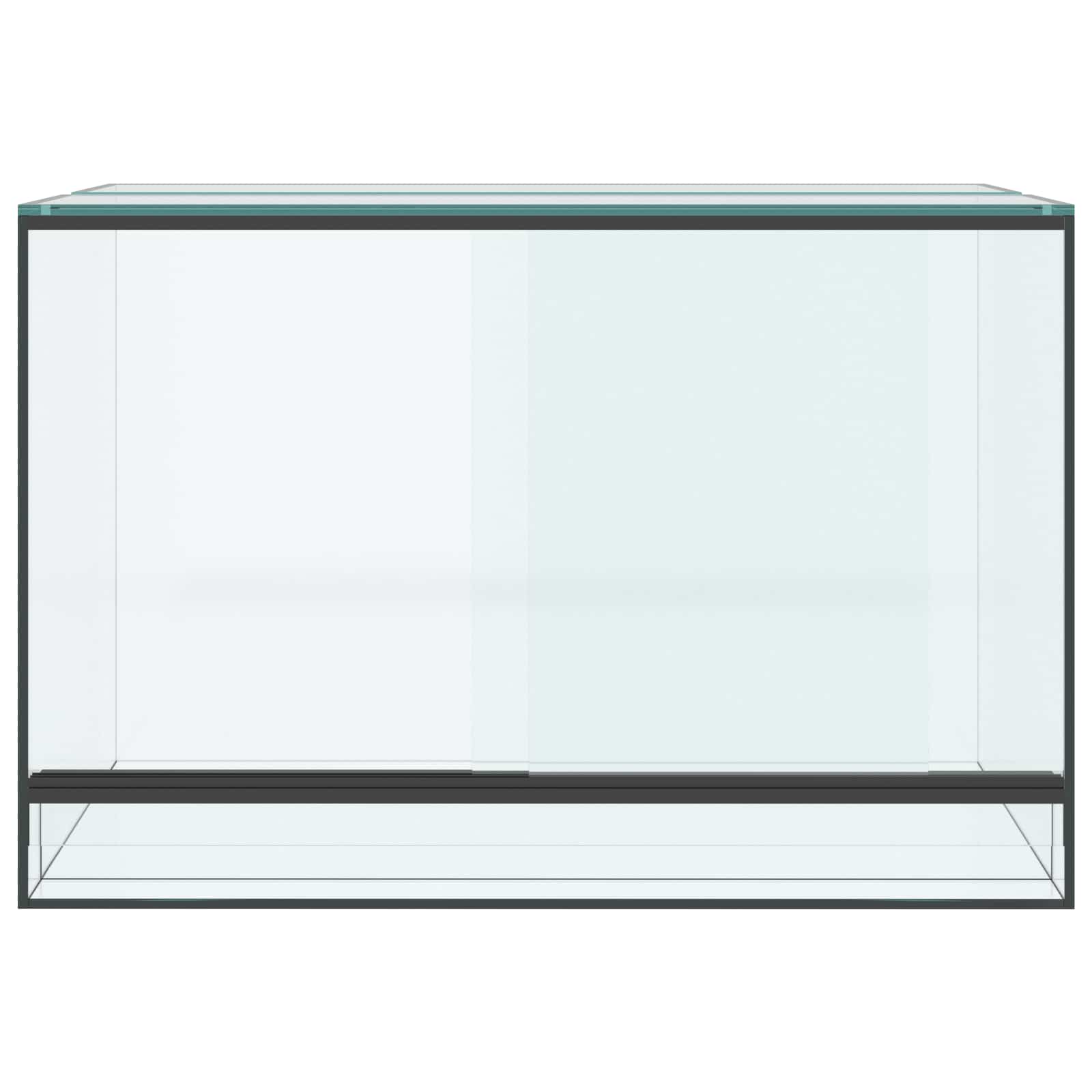 Terrarium με αποθήκευση Διαφανές 60 x 40 x 40 εκ. Γυαλί
