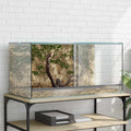 Terrarium με αποθήκευση Διαφανές 80 x 40 x 40 cm Γυαλί