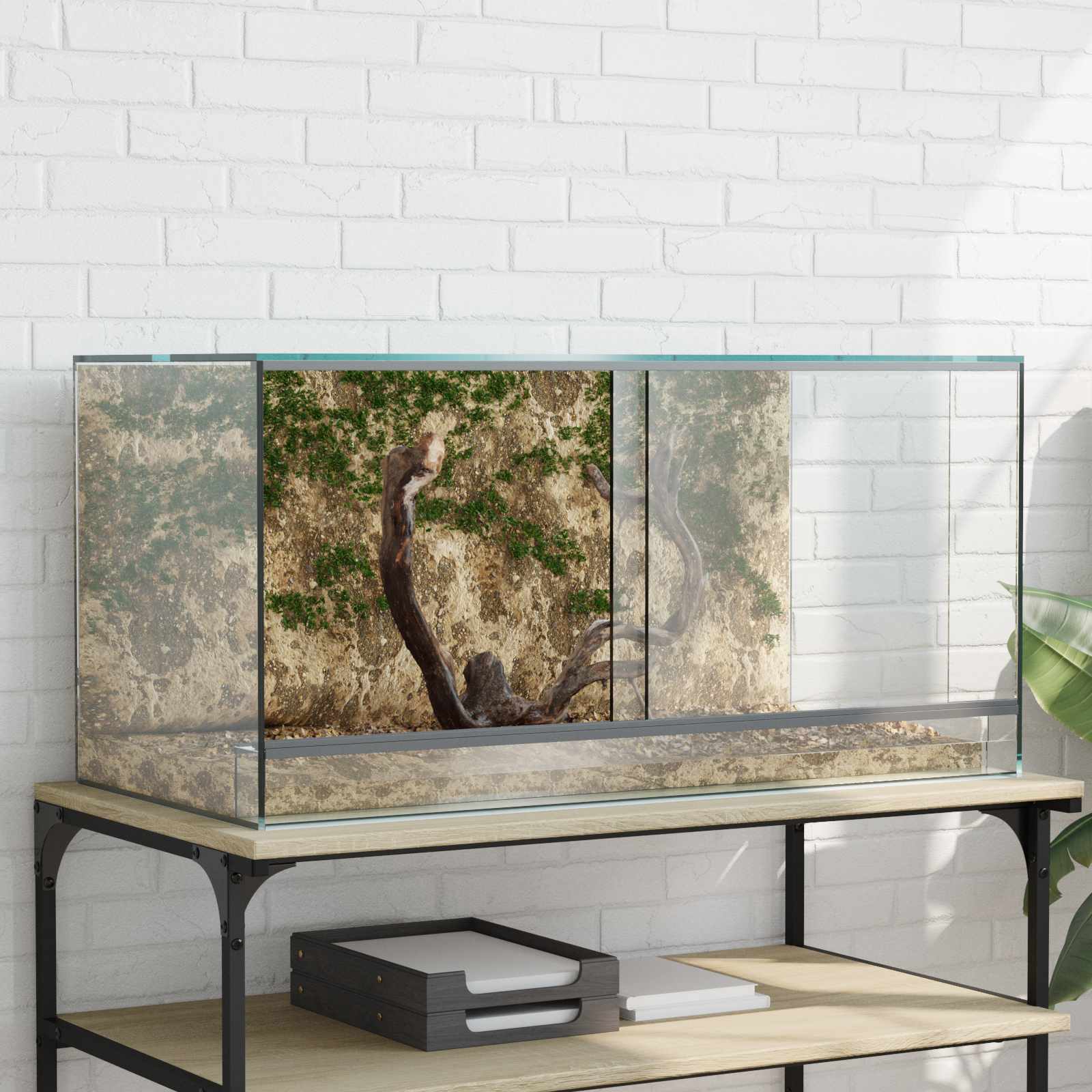 Terrarium με αποθήκευση Διαφανές 80 x 40 x 40 cm Γυαλί
