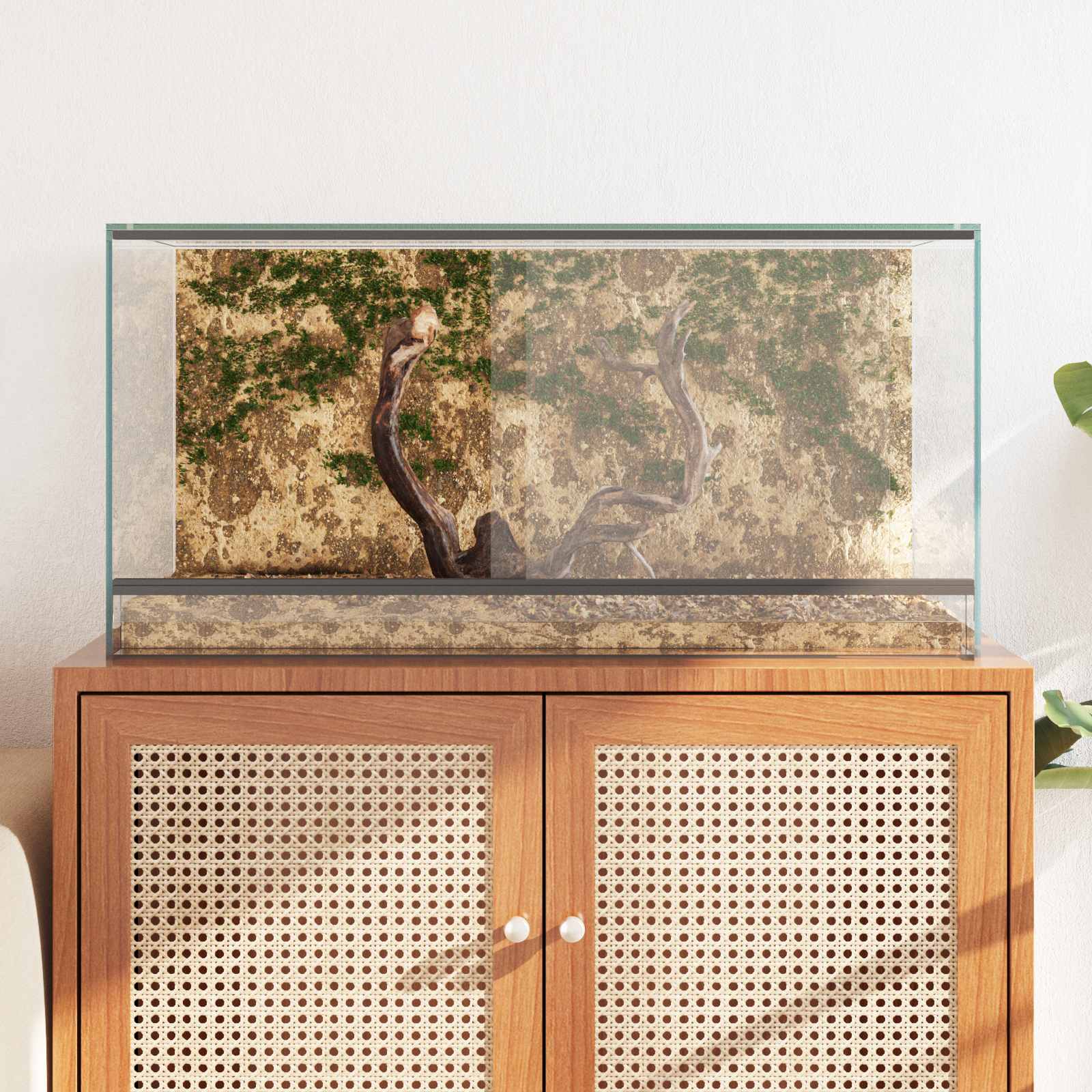 Terrarium με αποθήκευση Διαφανές 80 x 40 x 40 cm Γυαλί